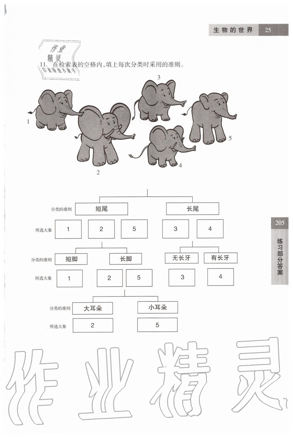 2019年科學(xué)練習(xí)部分六年級第一學(xué)期牛津上海版 第25頁