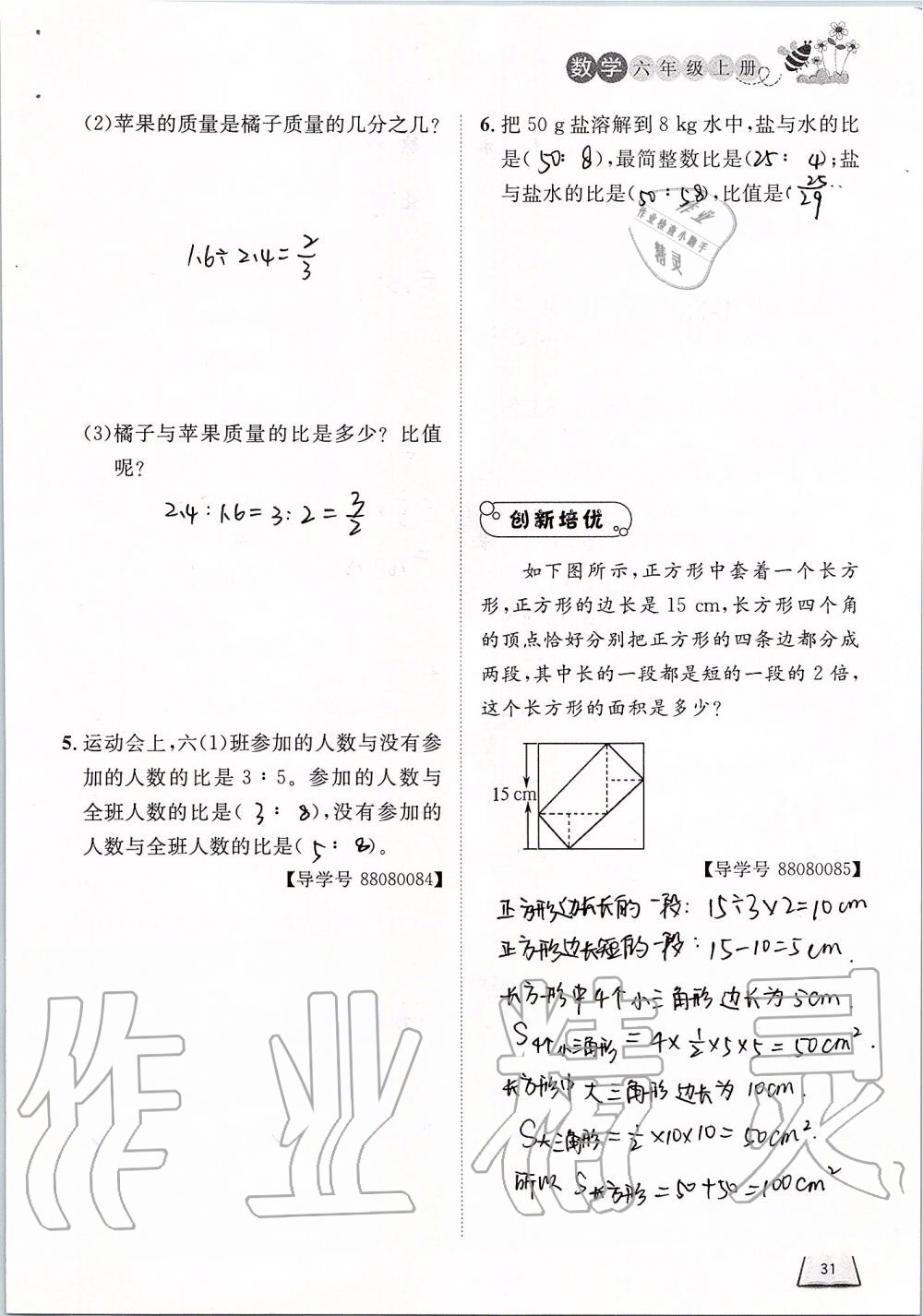 2019年小学课外作业六年级数学上册人教版 第31页