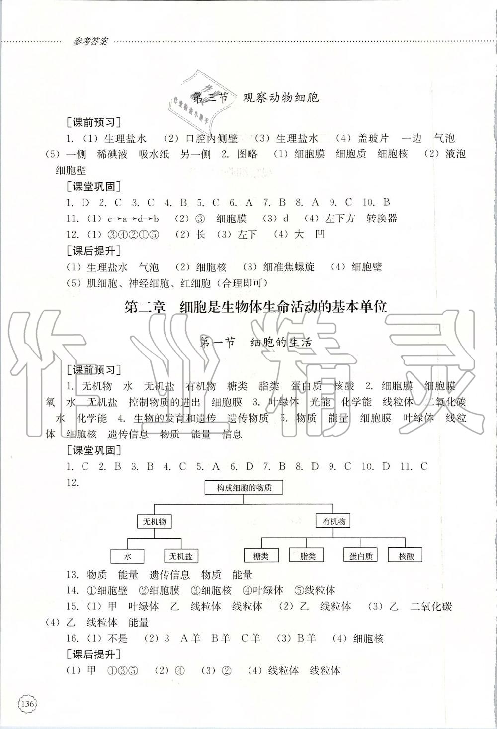 2019年初中課堂同步訓練六年級生物學上冊魯教版五四制山東文藝出版社 第7頁