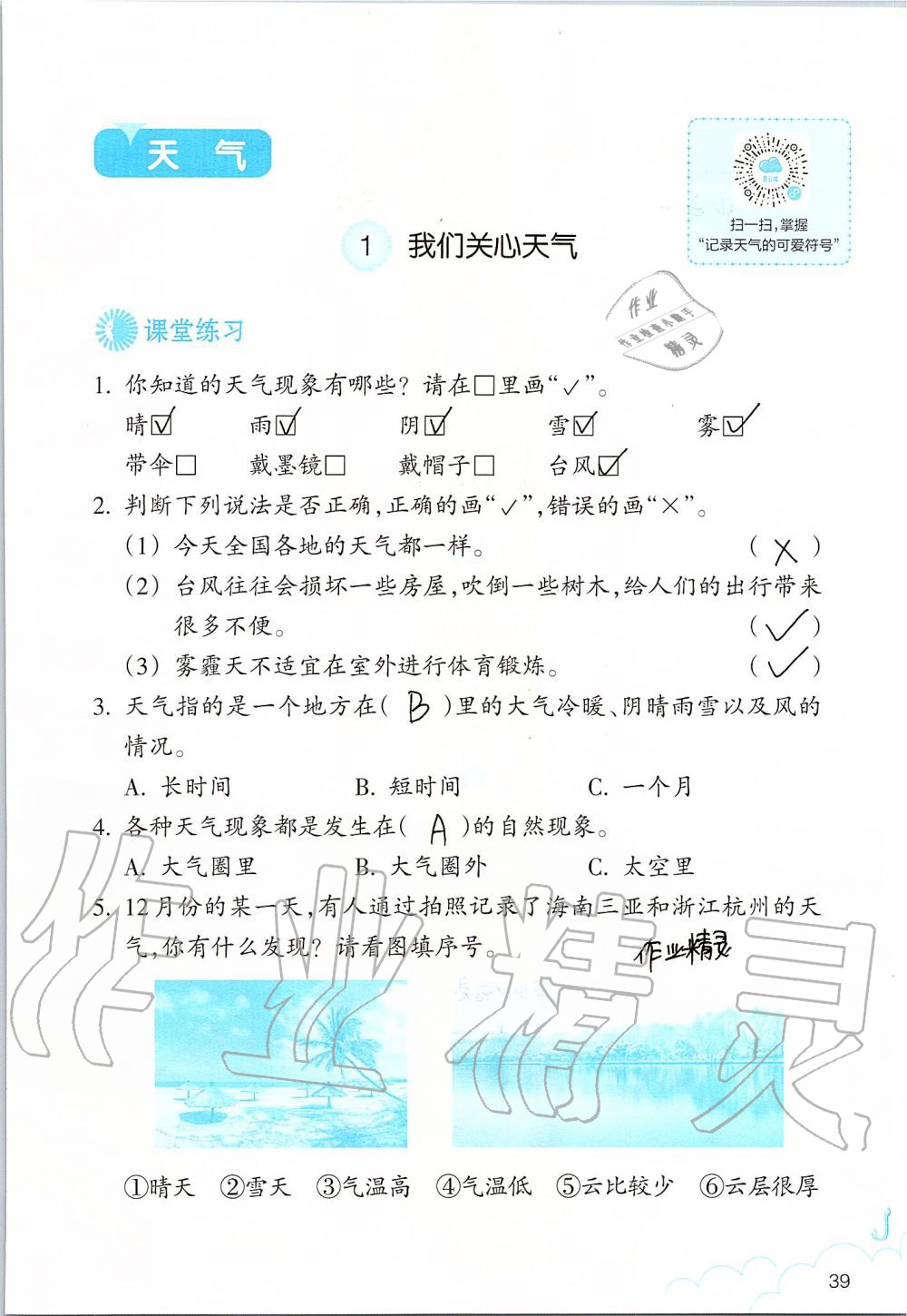 2019年科學作業(yè)本三年級上冊教科版浙江教育出版社 第39頁