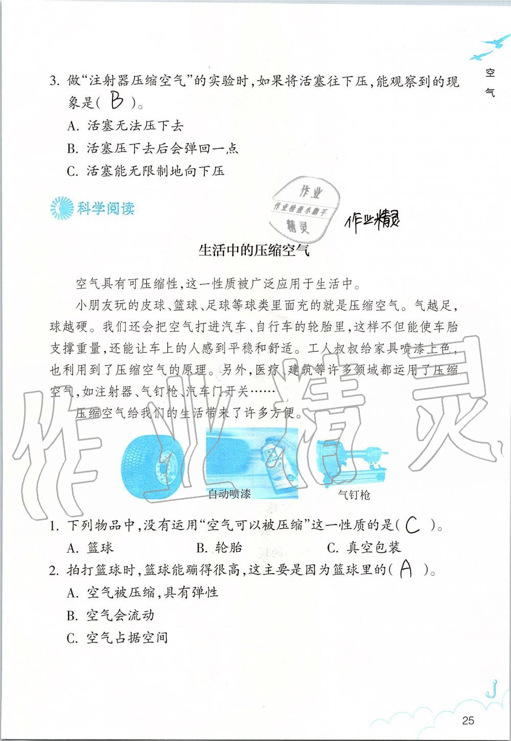 2019年科學作業(yè)本三年級上冊教科版浙江教育出版社 第25頁