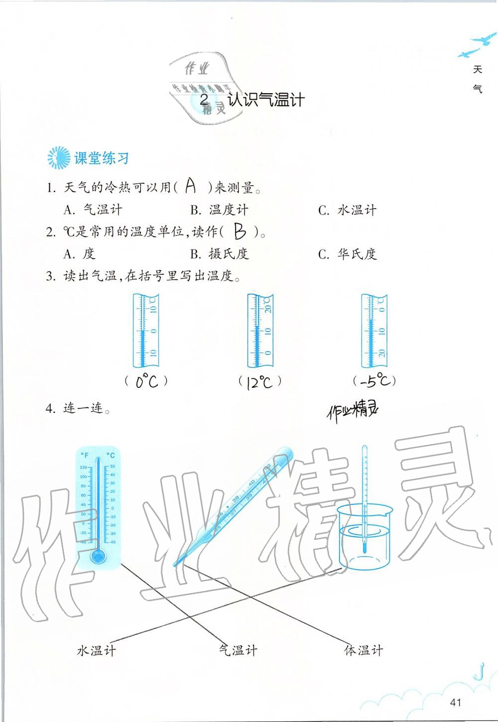 2019年科學作業(yè)本三年級上冊教科版浙江教育出版社 第41頁