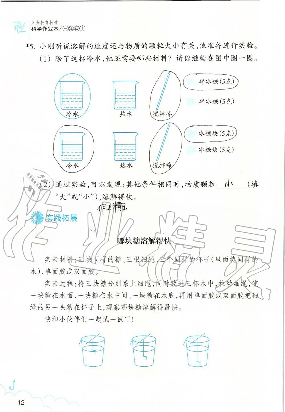 2019年科學作業(yè)本三年級上冊教科版浙江教育出版社 第12頁