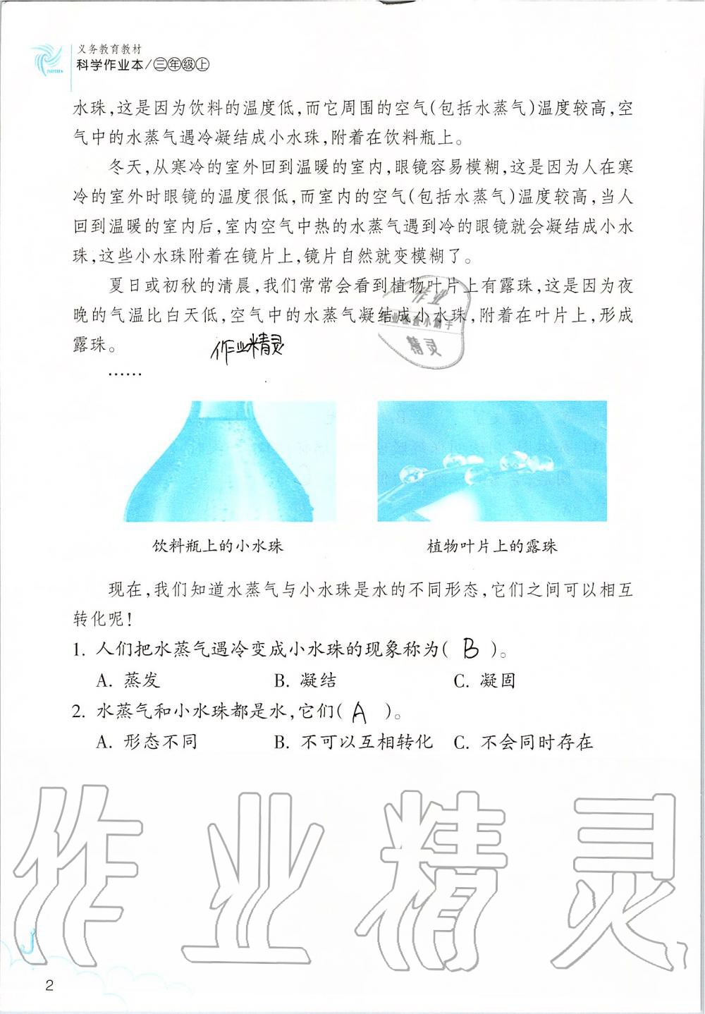 2019年科學(xué)作業(yè)本三年級(jí)上冊(cè)教科版浙江教育出版社 第2頁(yè)