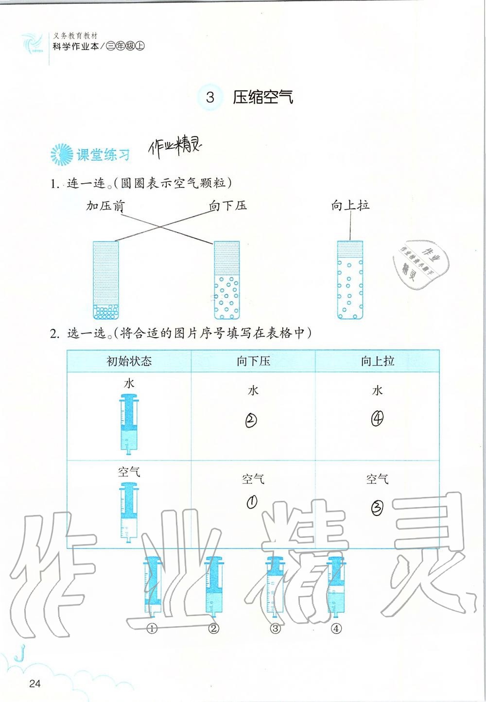 2019年科學(xué)作業(yè)本三年級(jí)上冊(cè)教科版浙江教育出版社 第24頁(yè)