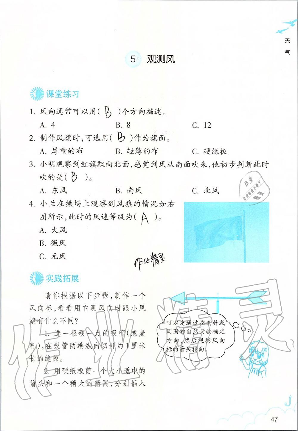 2019年科學(xué)作業(yè)本三年級(jí)上冊(cè)教科版浙江教育出版社 第47頁(yè)