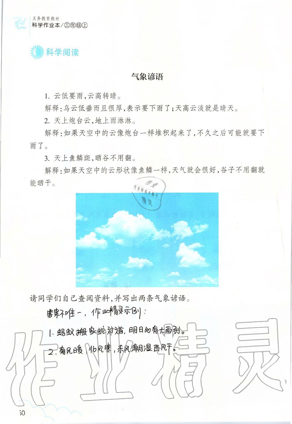 2019年科學(xué)作業(yè)本三年級(jí)上冊(cè)教科版浙江教育出版社 第50頁