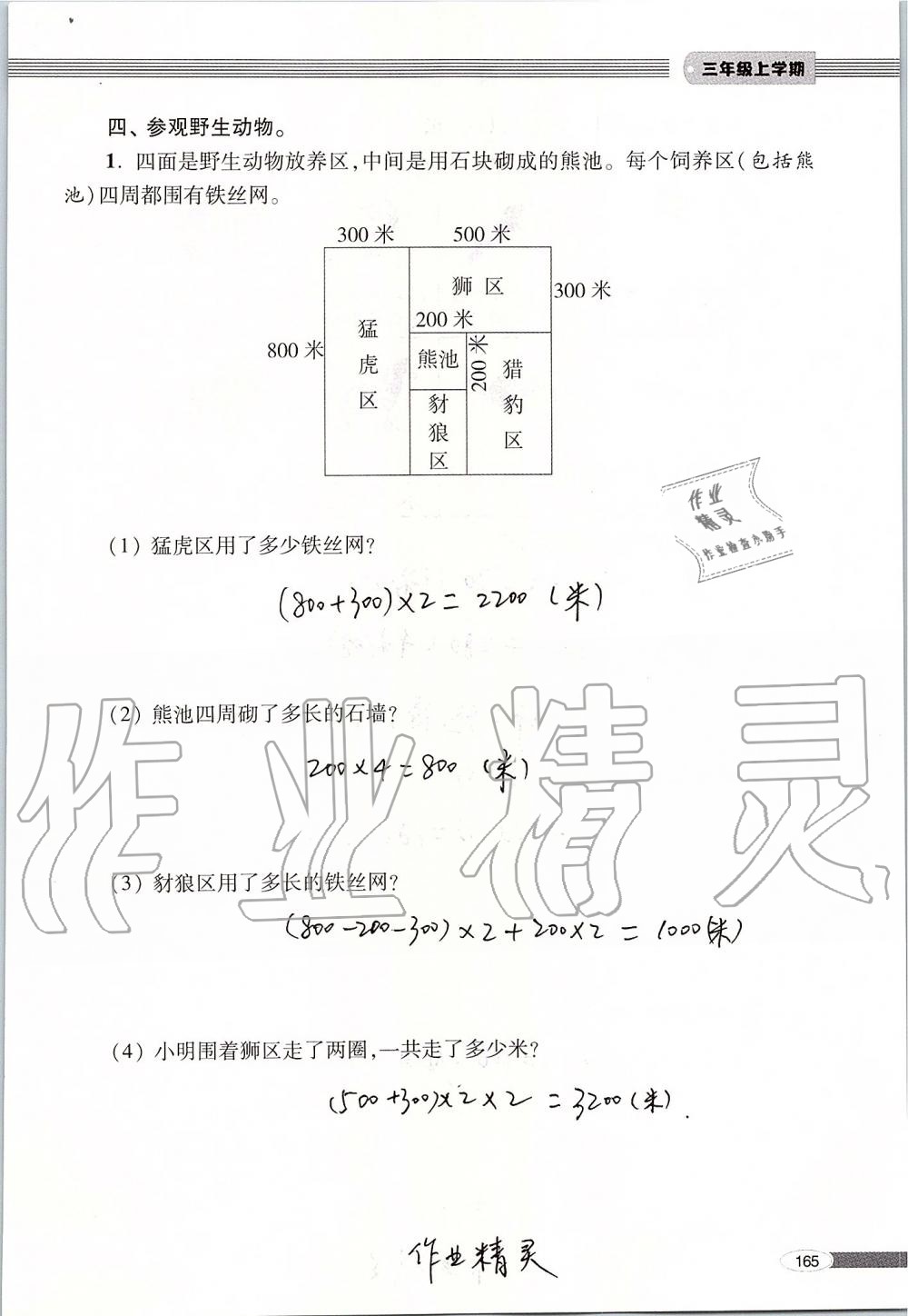 2019年新课堂同步学习与探究三年级数学上册青岛版 第165页