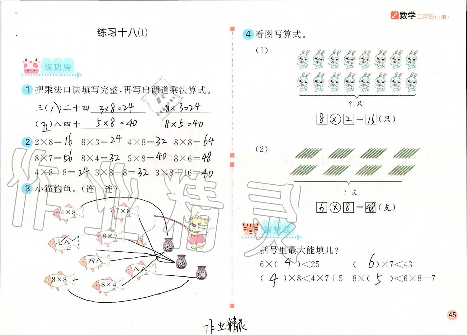 2019年課堂練習(xí)二年級數(shù)學(xué)上冊人教版 第45頁