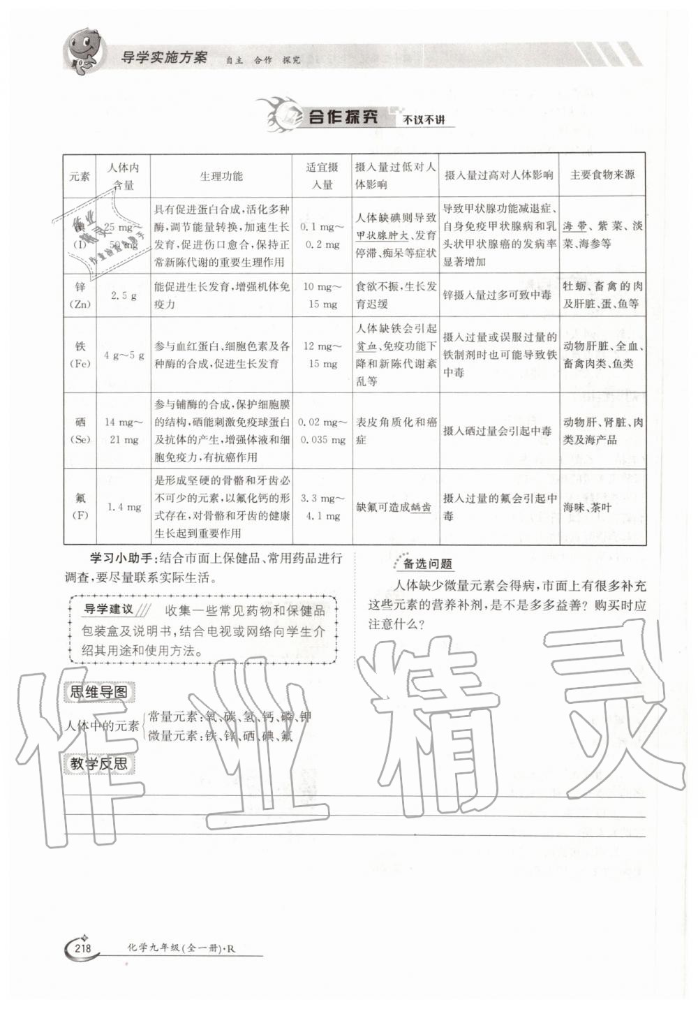 2019年金太陽(yáng)導(dǎo)學(xué)測(cè)評(píng)九年級(jí)化學(xué)全一冊(cè)人教版 第218頁(yè)