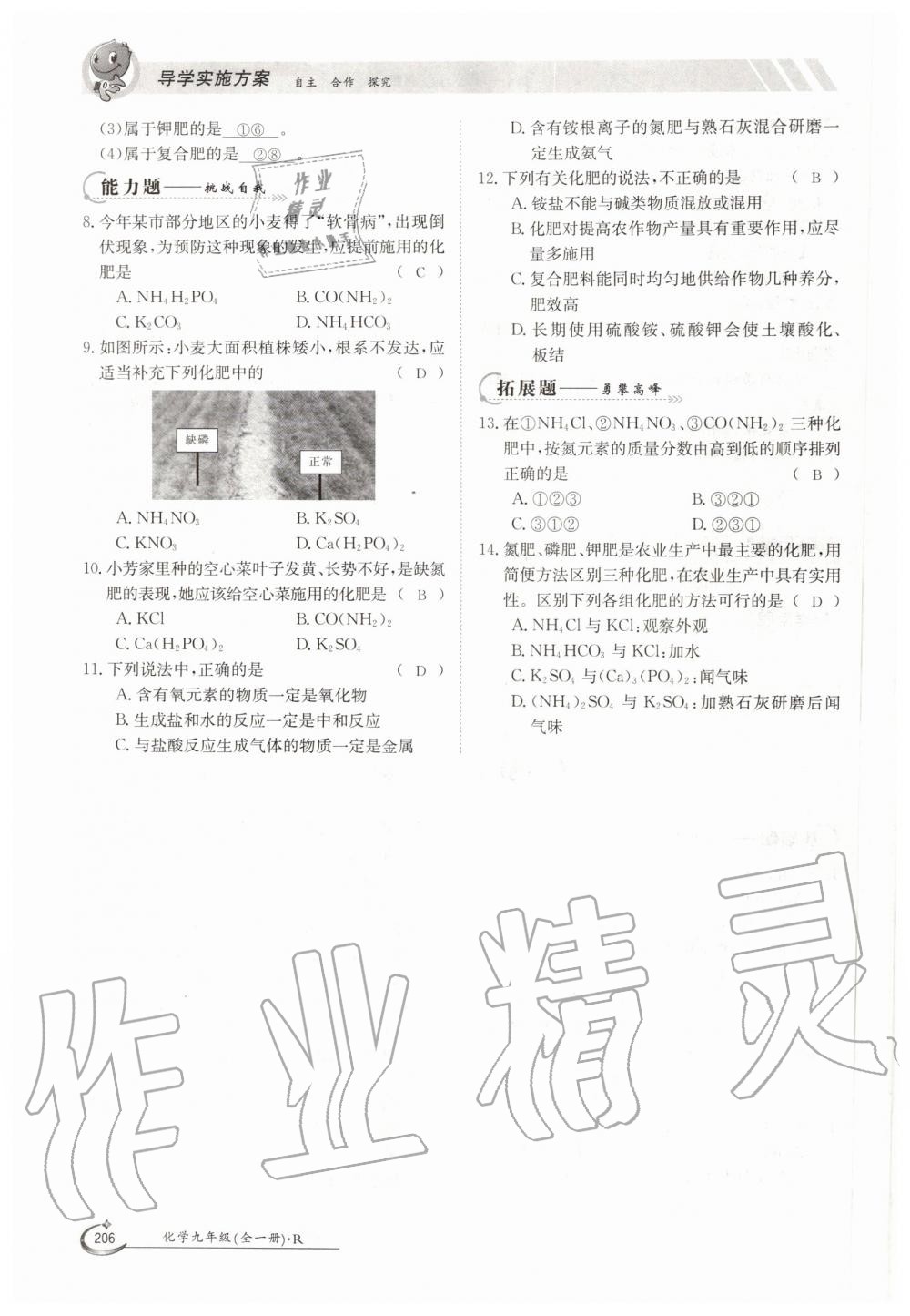 2019年金太陽導(dǎo)學(xué)測評九年級化學(xué)全一冊人教版 第206頁