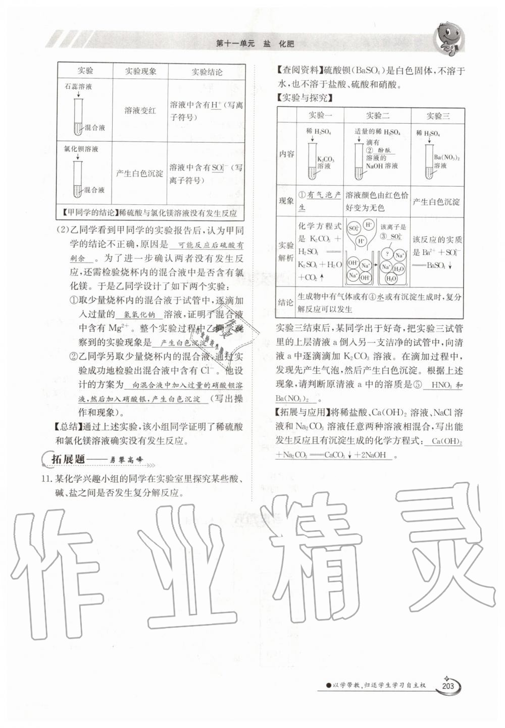 2019年金太陽導(dǎo)學(xué)測(cè)評(píng)九年級(jí)化學(xué)全一冊(cè)人教版 第203頁