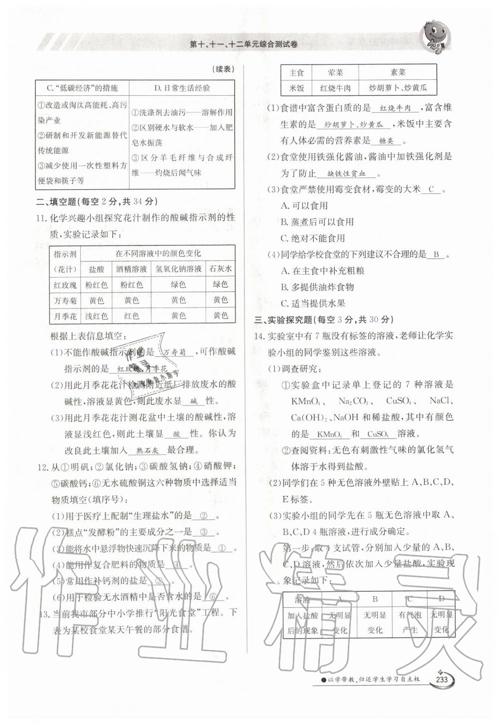 2019年金太陽導(dǎo)學(xué)測評(píng)九年級(jí)化學(xué)全一冊(cè)人教版 第233頁