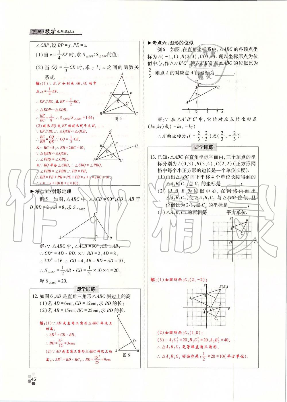 2019年學(xué)典四川九年級(jí)數(shù)學(xué)全一冊(cè)人教版 第45頁(yè)