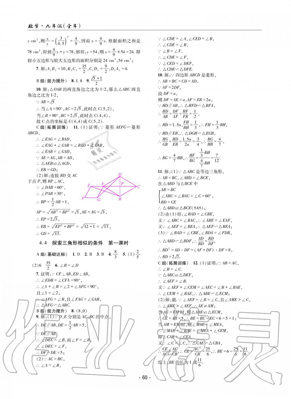 2019年理科爱好者九年级数学全一册北师大版第11期 第59页