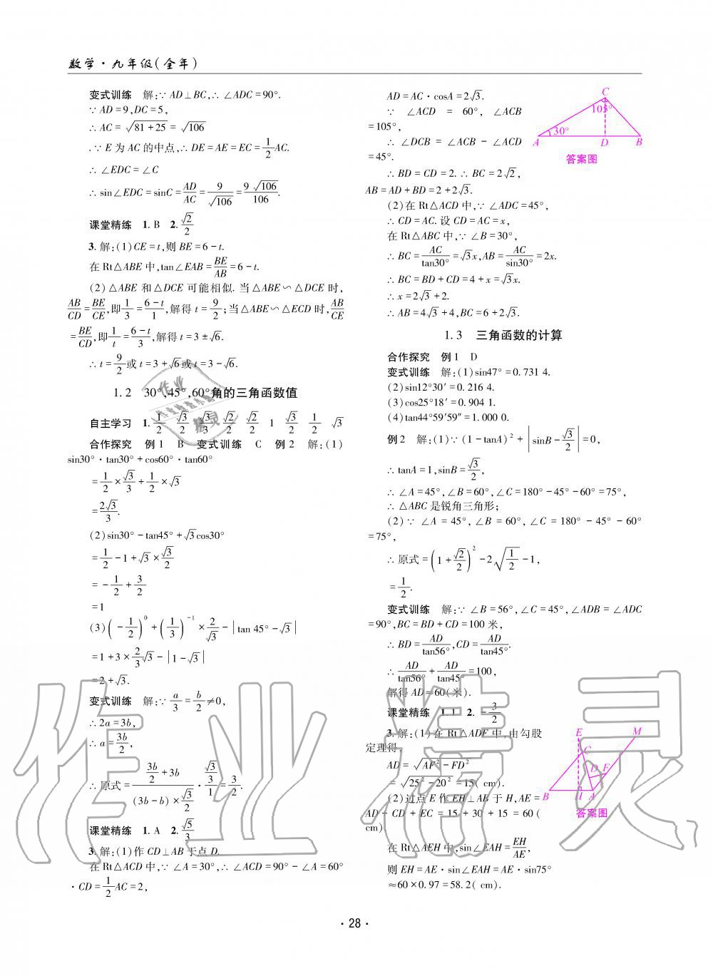 2019年理科爱好者九年级数学全一册北师大版第11期 第27页