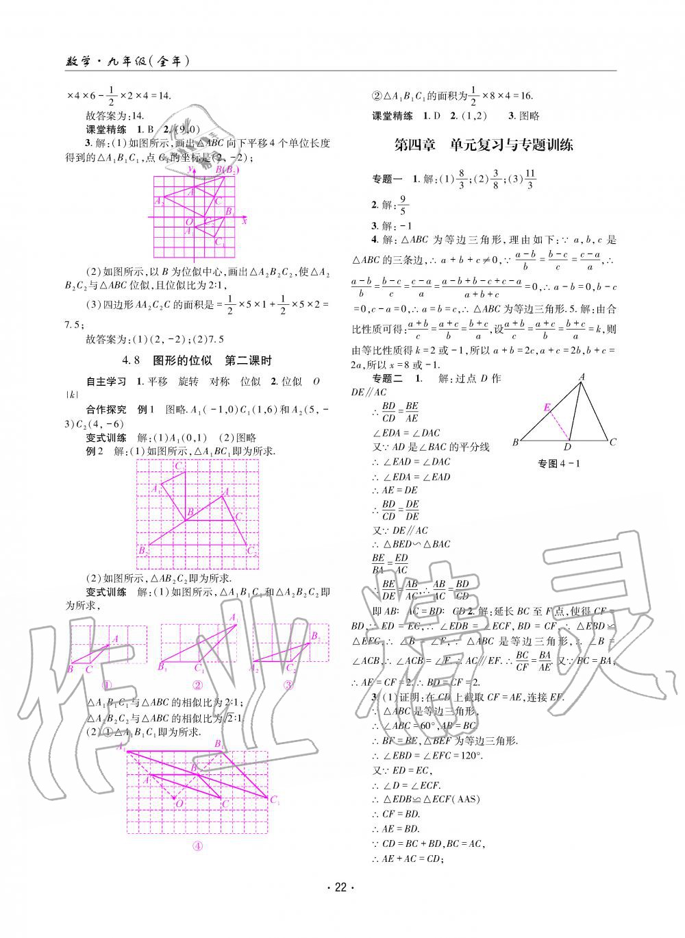 2019年理科愛好者九年級(jí)數(shù)學(xué)全一冊(cè)北師大版第11期 第21頁