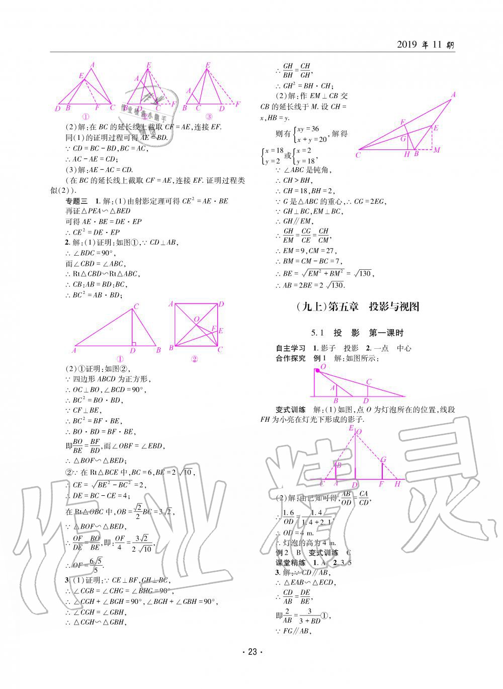 2019年理科爱好者九年级数学全一册北师大版第11期 第22页