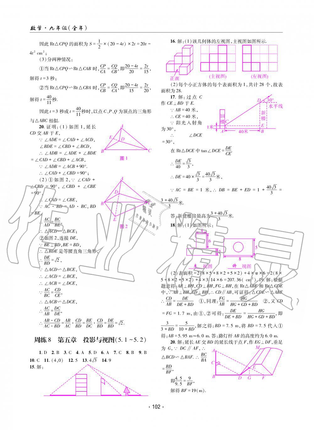 2019年理科爱好者九年级数学全一册北师大版第11期 第101页