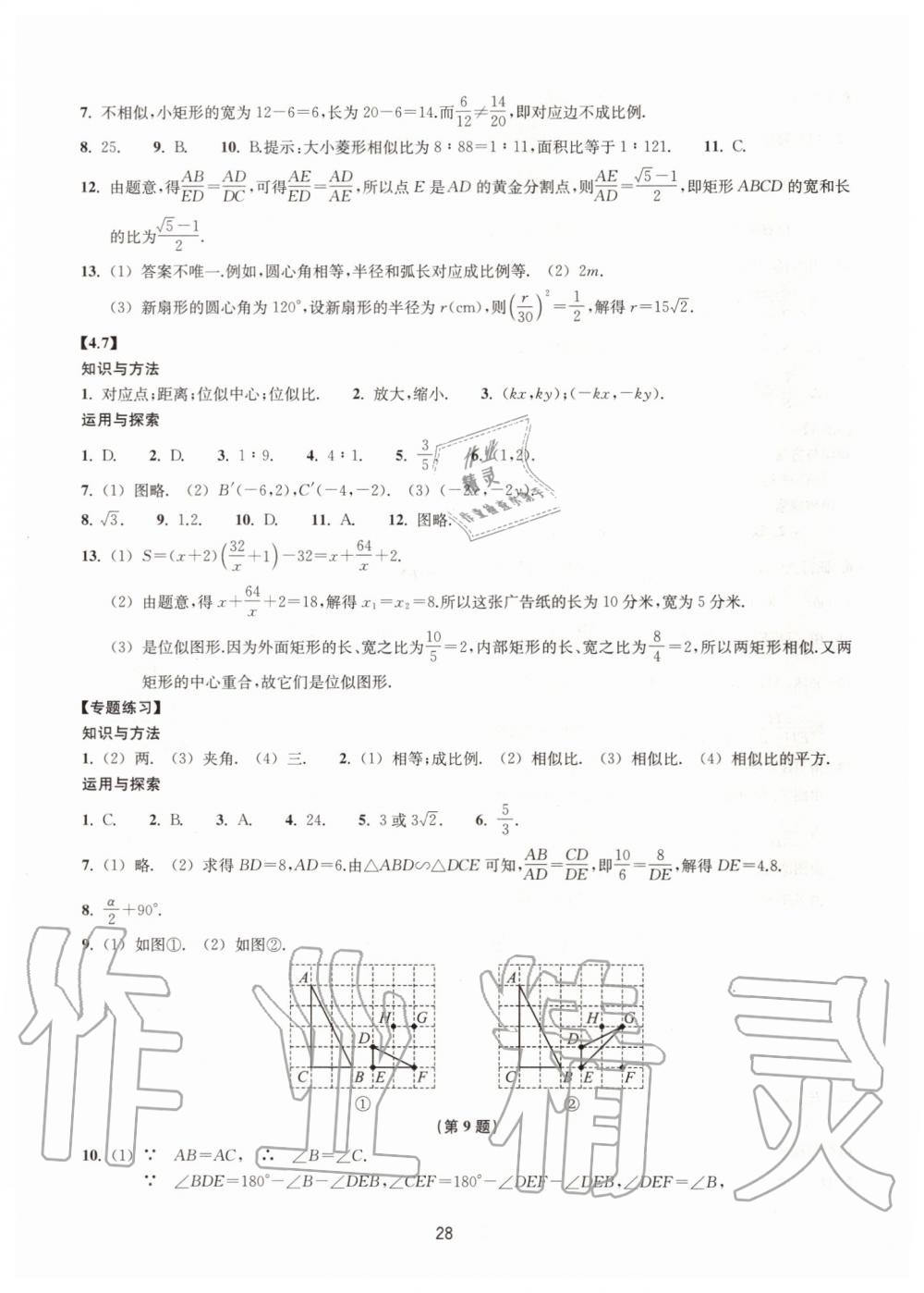 2019年同步練習(xí)九年級(jí)數(shù)學(xué)上冊(cè)浙教版提升版浙江教育出版社 第28頁(yè)