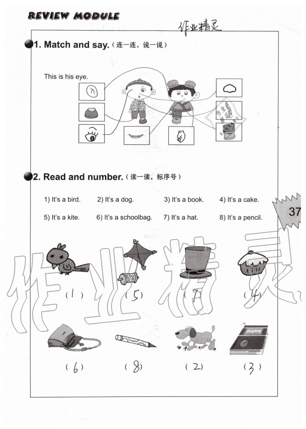 2019年配套練習(xí)冊三年級英語上冊外研版三起 第37頁