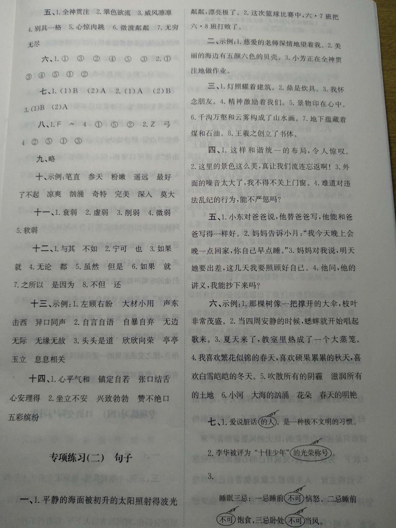 2019年課內(nèi)課外直通車(chē)六年級(jí)語(yǔ)文上冊(cè)人教版河南專(zhuān)版 第10頁(yè)