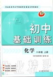 2019年初中基礎(chǔ)訓(xùn)練八年級化學(xué)上冊魯教版山東教育出版社