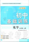 2019年初中基礎(chǔ)訓(xùn)練九年級化學(xué)上冊人教版山東教育出版社