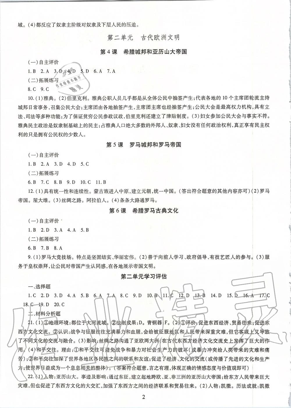 2019年智慧學(xué)習(xí)九年級(jí)世界歷史全一冊(cè)人教版 第2頁(yè)