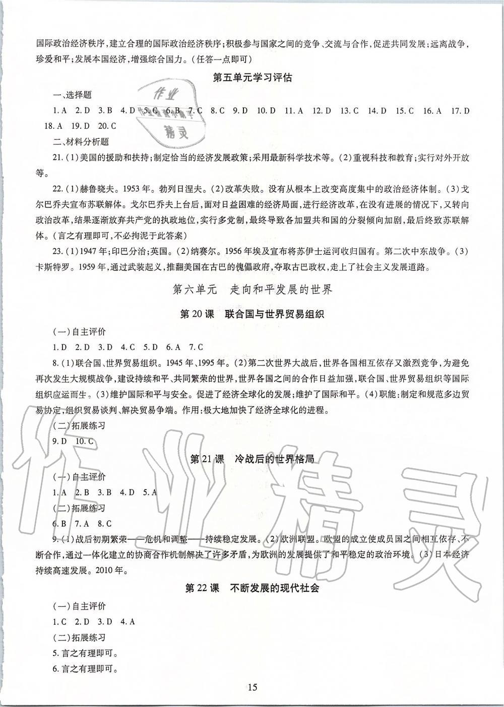 2019年智慧學習九年級世界歷史全一冊人教版 第15頁