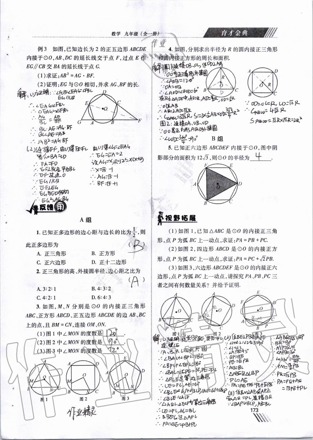 2019年育才金典九年級數(shù)學(xué)全一冊北師大版 第166頁