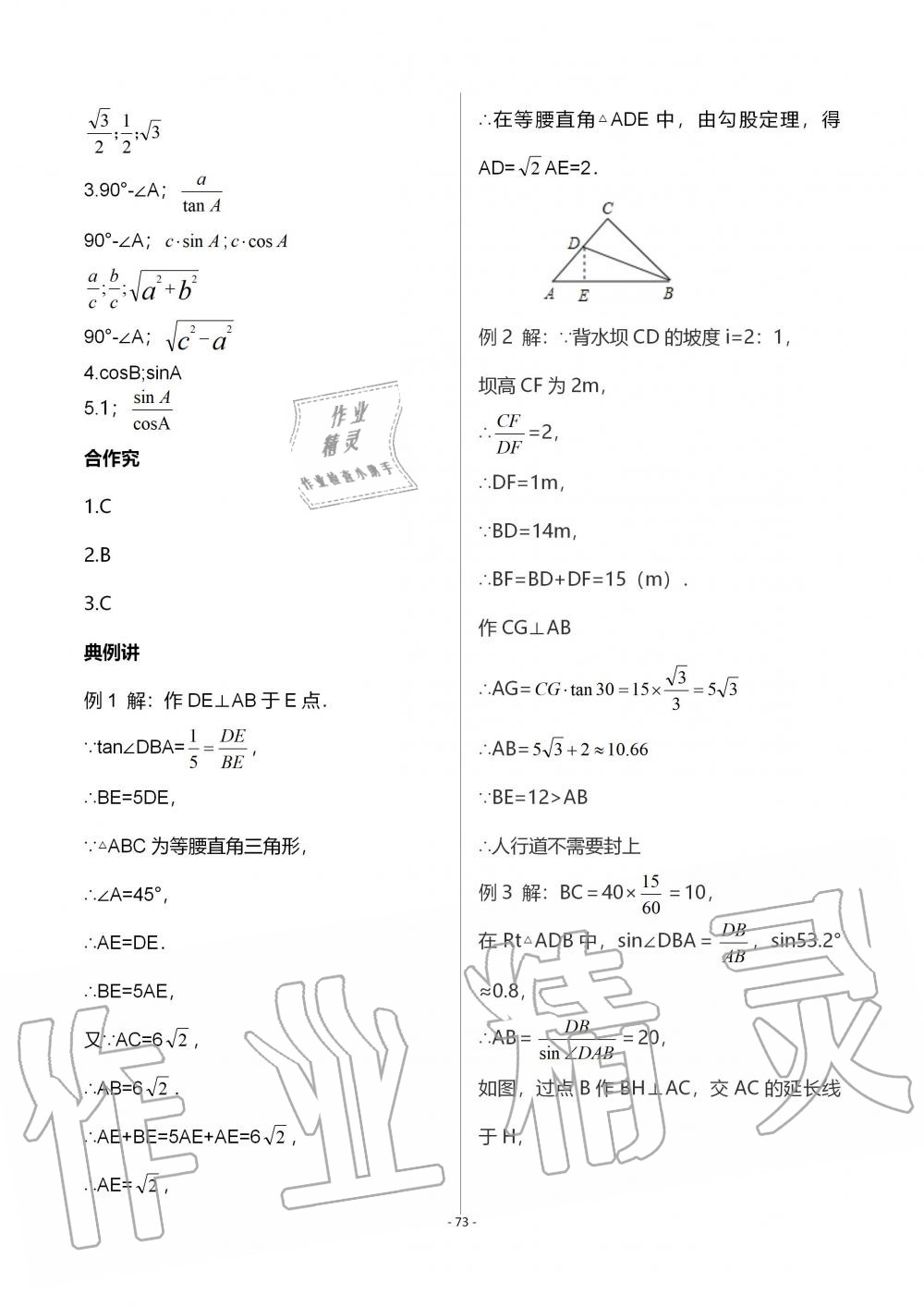 2019年育才金典九年級(jí)數(shù)學(xué)全一冊(cè)北師大版 第73頁(yè)