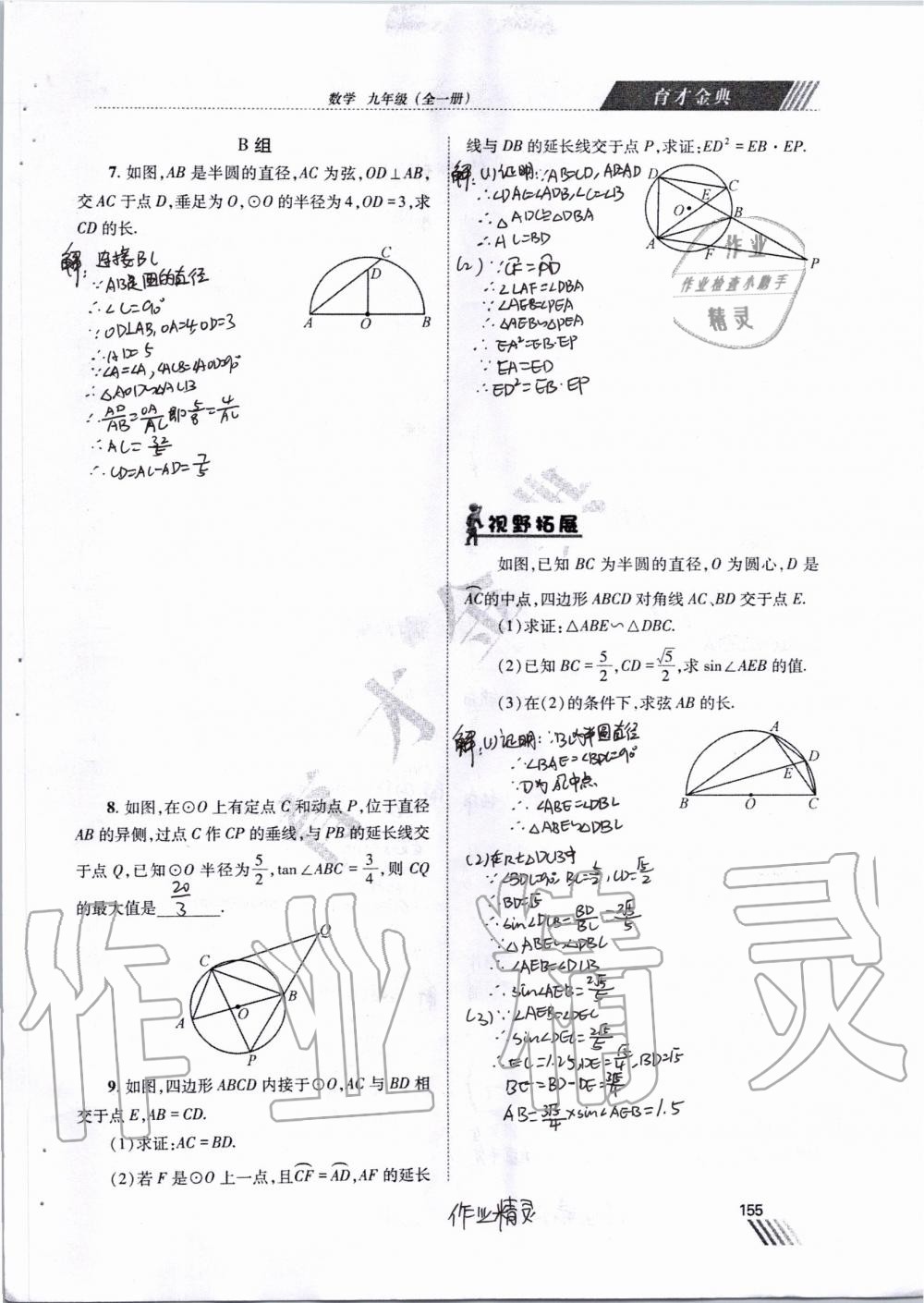 2019年育才金典九年級(jí)數(shù)學(xué)全一冊(cè)北師大版 第148頁