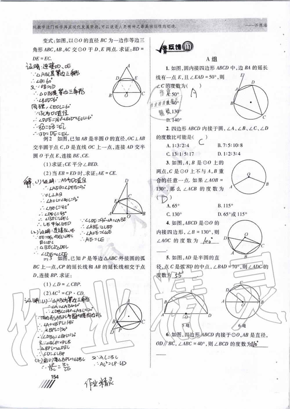 2019年育才金典九年級(jí)數(shù)學(xué)全一冊北師大版 第147頁