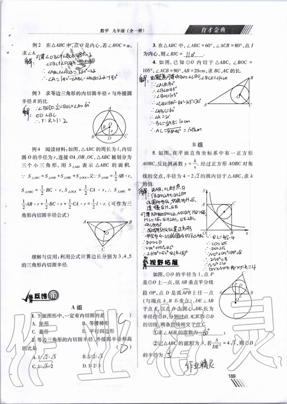 2019年育才金典九年級(jí)數(shù)學(xué)全一冊(cè)北師大版 第162頁(yè)