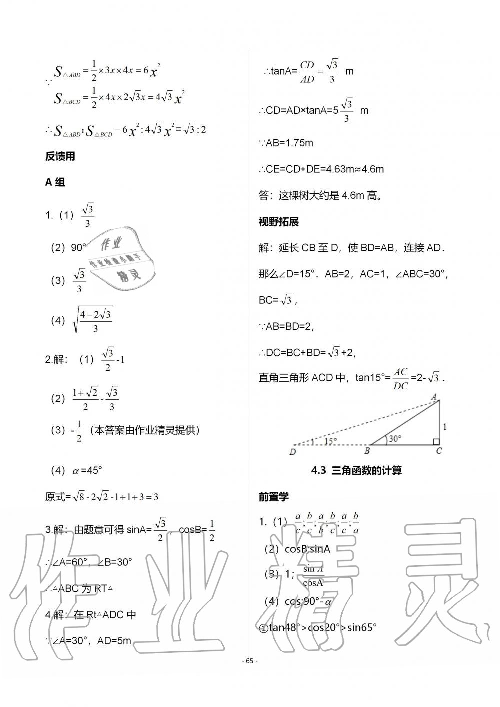 2019年育才金典九年級(jí)數(shù)學(xué)全一冊北師大版 第65頁