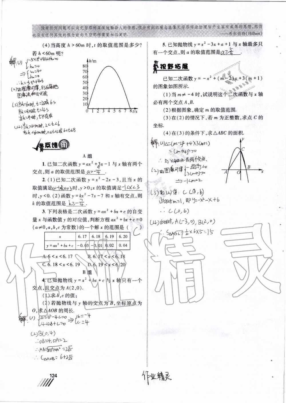 2019年育才金典九年級數(shù)學(xué)全一冊北師大版 第117頁