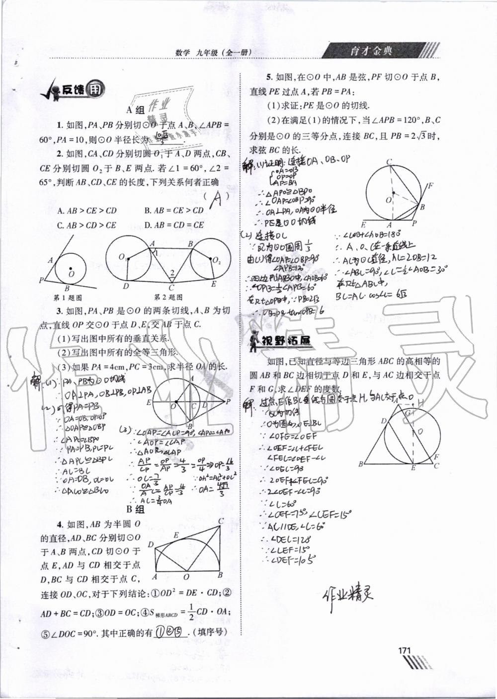 2019年育才金典九年級(jí)數(shù)學(xué)全一冊北師大版 第164頁