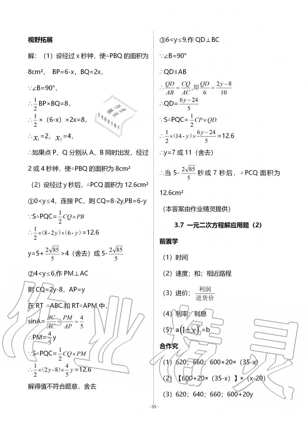 2019年育才金典九年級(jí)數(shù)學(xué)全一冊(cè)北師大版 第55頁(yè)