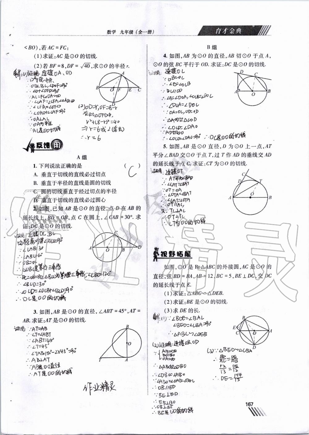 2019年育才金典九年級數(shù)學(xué)全一冊北師大版 第160頁