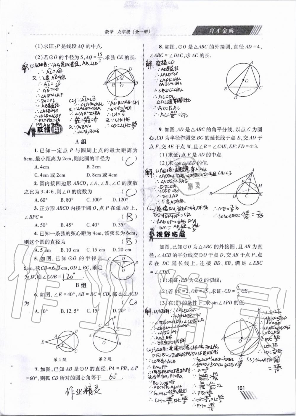 2019年育才金典九年級(jí)數(shù)學(xué)全一冊(cè)北師大版 第154頁(yè)