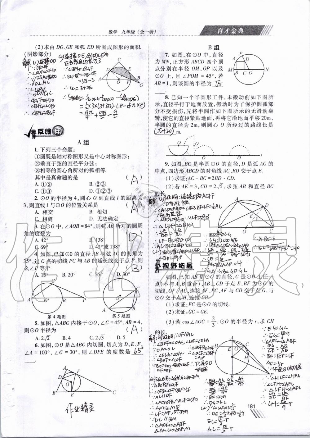 2019年育才金典九年級(jí)數(shù)學(xué)全一冊(cè)北師大版 第174頁