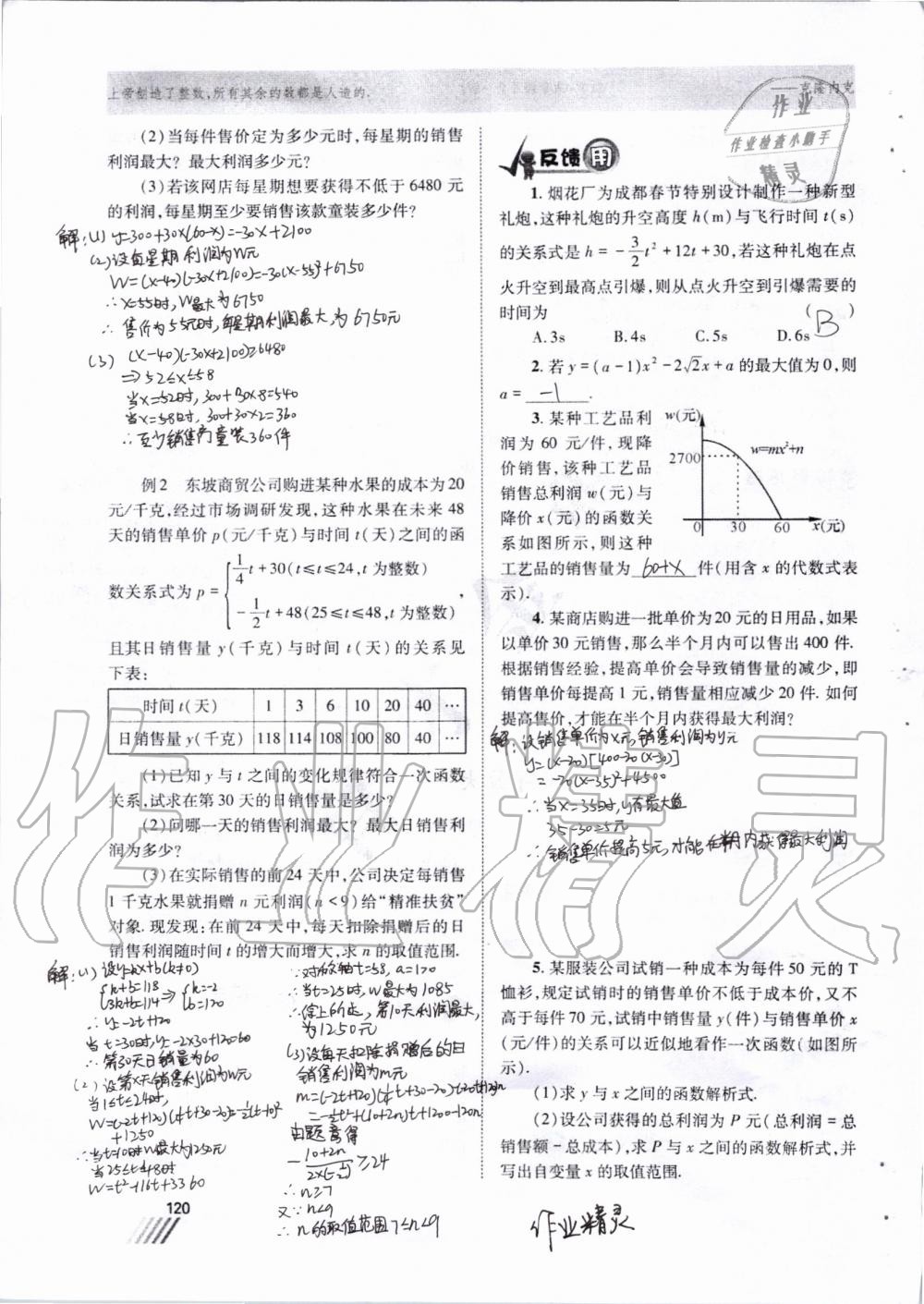 2019年育才金典九年級(jí)數(shù)學(xué)全一冊(cè)北師大版 第113頁(yè)