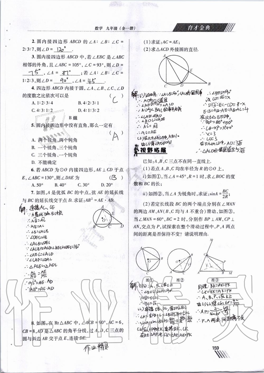 2019年育才金典九年級(jí)數(shù)學(xué)全一冊(cè)北師大版 第152頁