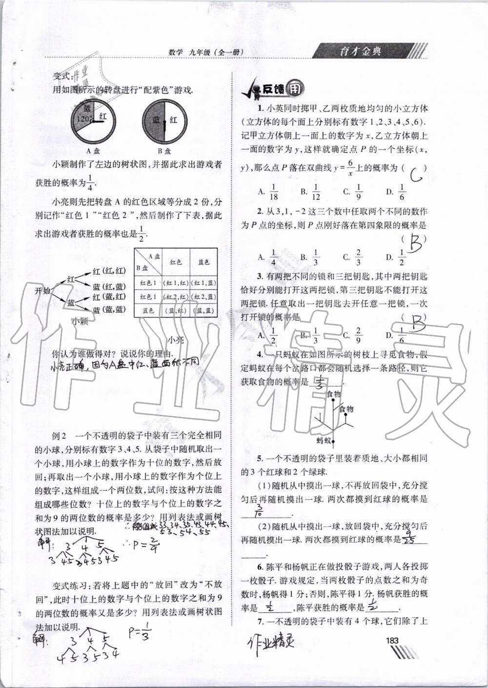 2019年育才金典九年級數(shù)學(xué)全一冊北師大版 第176頁