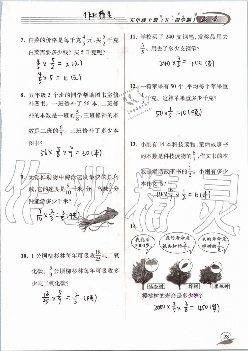 2019年數(shù)學(xué)配套練習(xí)冊五年級上冊青島版五四制 第23頁