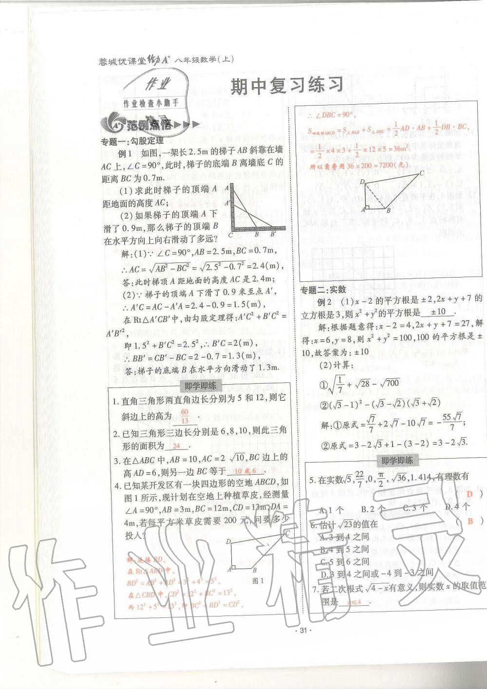 2019年蓉城优课堂给力A加八年级数学上册北师大版 第31页