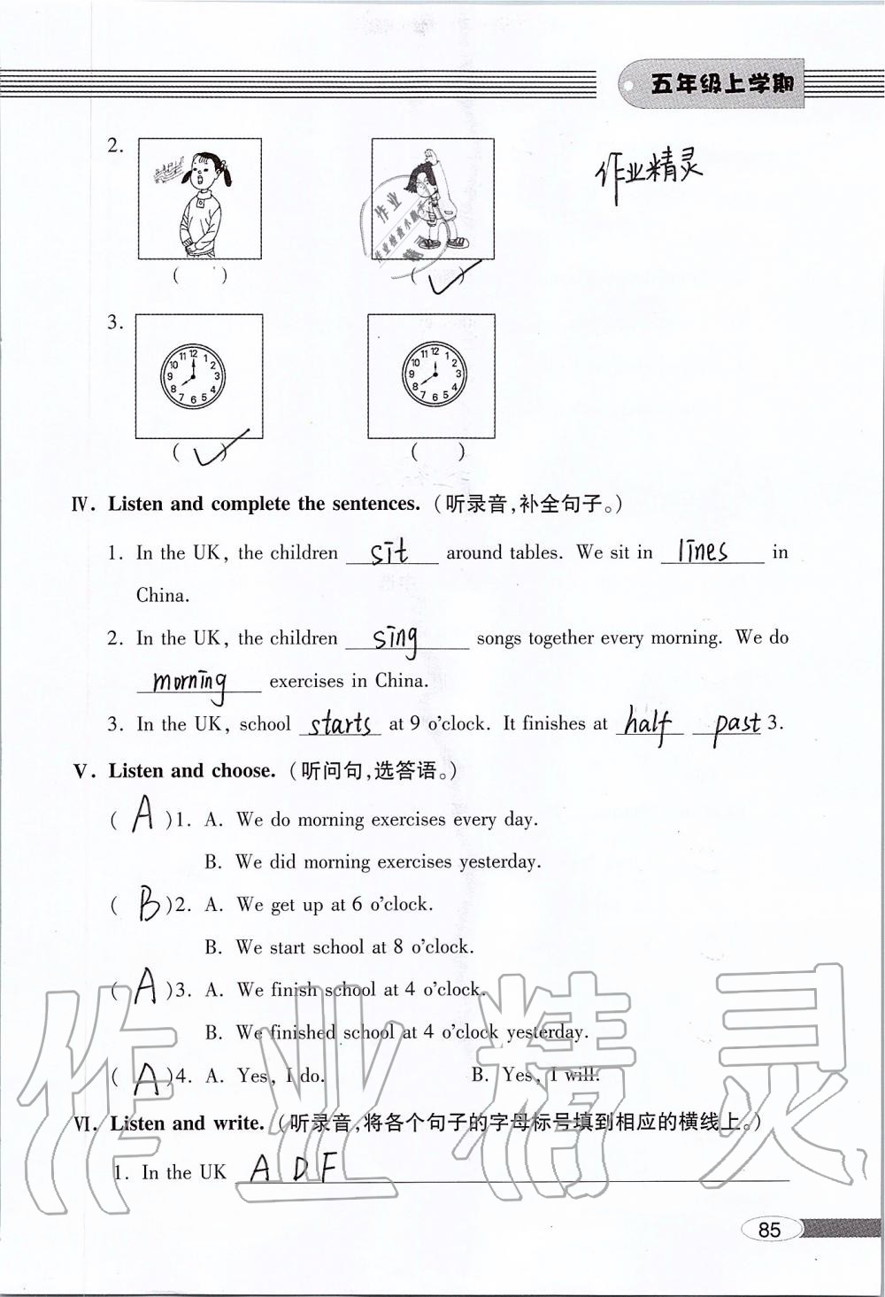 2019年新课堂同步学习与探究五年级英语上学期外研版 第85页