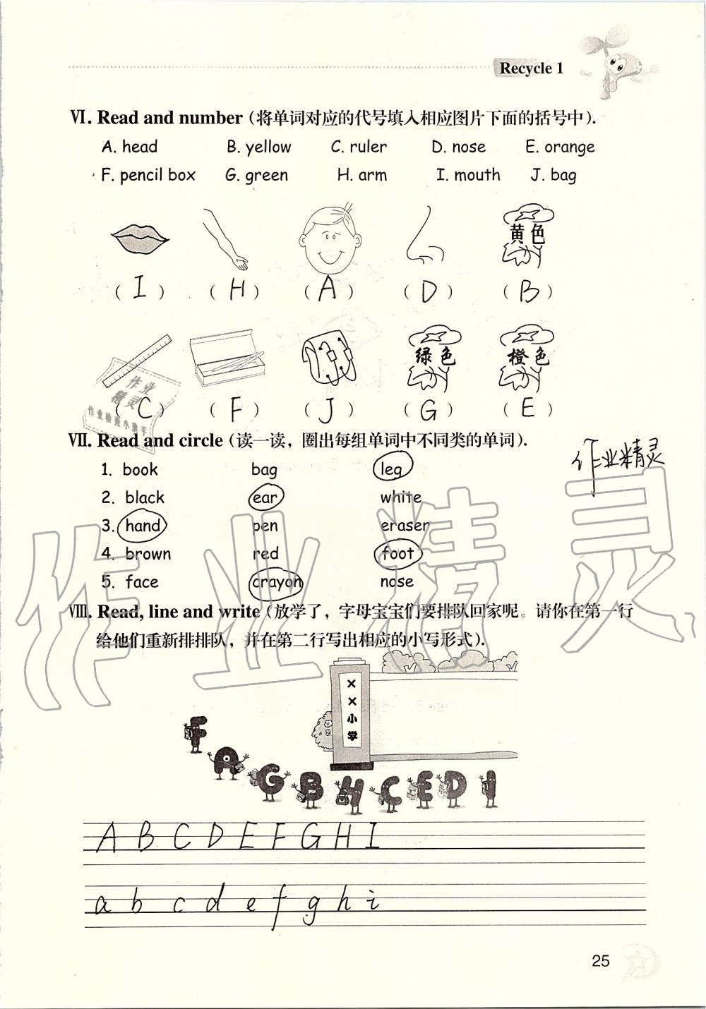 2019年自主学习指导课程三年级英语上册人教版 第25页