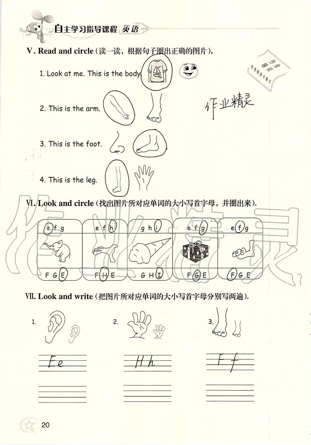 2019年自主学习指导课程三年级英语上册人教版 第20页